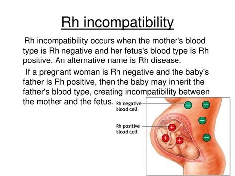 rhd positiv gravid|Why Do Some Pregnant Women Type as Both Rh。